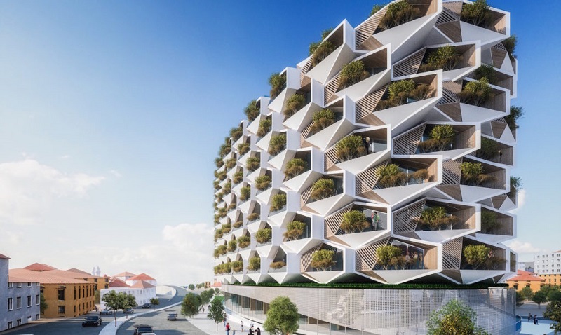 Inspirasi Arsitektur dari Serangga